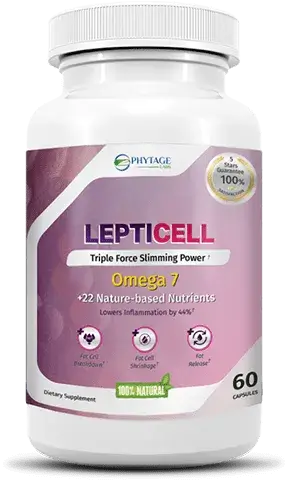 LeptiCell – Ignite Fat-Burning & Crush Cravings Naturally! Boost metabolism, suppress appetite, and feel energized—without stimulants.