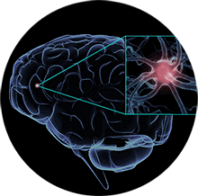 neuro tech iq focus formula Revolutionary Clinically-Proven Smart Pill